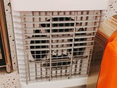 -蟹宗蟹(润达国际五楼店)