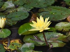 -苏州河梦清园环保主题公园