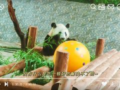 -西安秦岭野生动物园