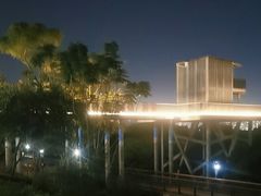 -立新湖公园