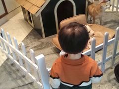 -上海崇明金茂凯悦酒店