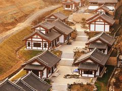 -千年银杏谷文化旅游区