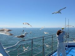-海驴岛(荣成市)