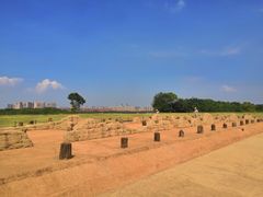 -盘龙城国家考古遗址公园