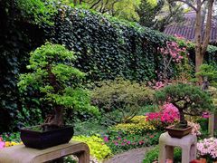 -惠山古镇·寄畅园