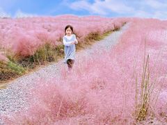 -汉长安城未央宫国家考古遗址公园