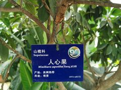 -国家植物园南园