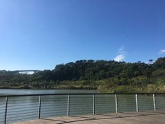 -飞凤山奥体公园