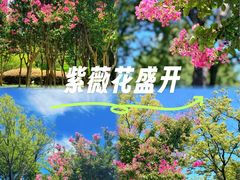 -白塘生态植物园