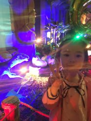 -恐龙探索乐园(磁器口店)