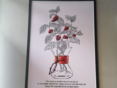 -luckincoffee瑞幸咖啡(新华大厦店)