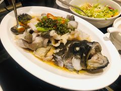 青花椒蒸龙胆鱼-闽和南(深圳万象城店)