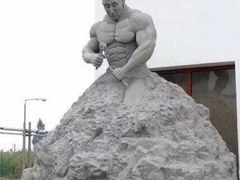 -金吉鸟健身游泳