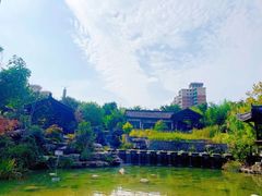 -武汉园博园(武汉自然博物馆)