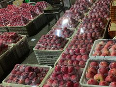 -菜园坝水果市场