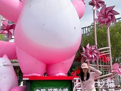 -中粮·祥云小镇