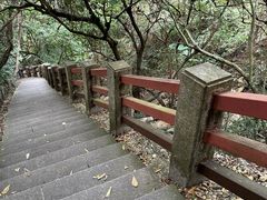 -梧桐山风景名胜区