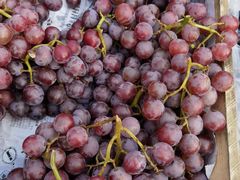 -三旗百汇商品城