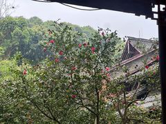 -峨眉山报国寺