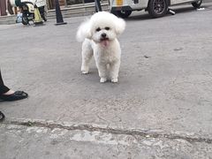 -宠福鑫康馨动物医院·骨科·眼科