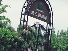 -金山农民画村-枫泾波兰倒置屋