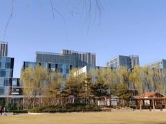 -大兴滨河森林公园