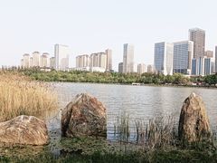-洛龙公园