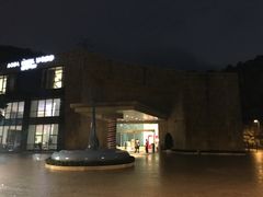 -深圳东部华侨城瀑布酒店