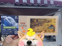 -黄鹤楼公园(黄鹤楼)