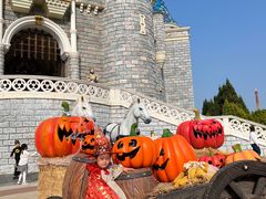 -蓬莱欧乐堡梦幻世界