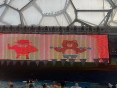 -水立方嬉水乐园