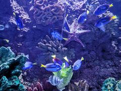 -多彩贵州城极地海洋世界