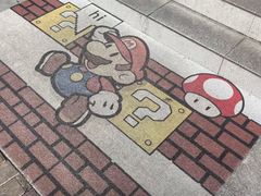 -翊宠yipet猫狗购宠庄园犬舍•猫舍