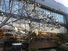 景观位-上海虹桥宾馆味翠餐厅