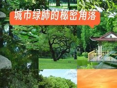 -晓港公园