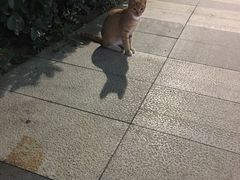 -纽斯桑拿会所(天山店)