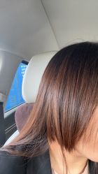 -Z.X HAIR SALON张新美业
