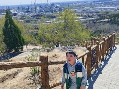 -白水寺森林公园