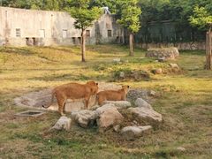 -西安秦岭野生动物园