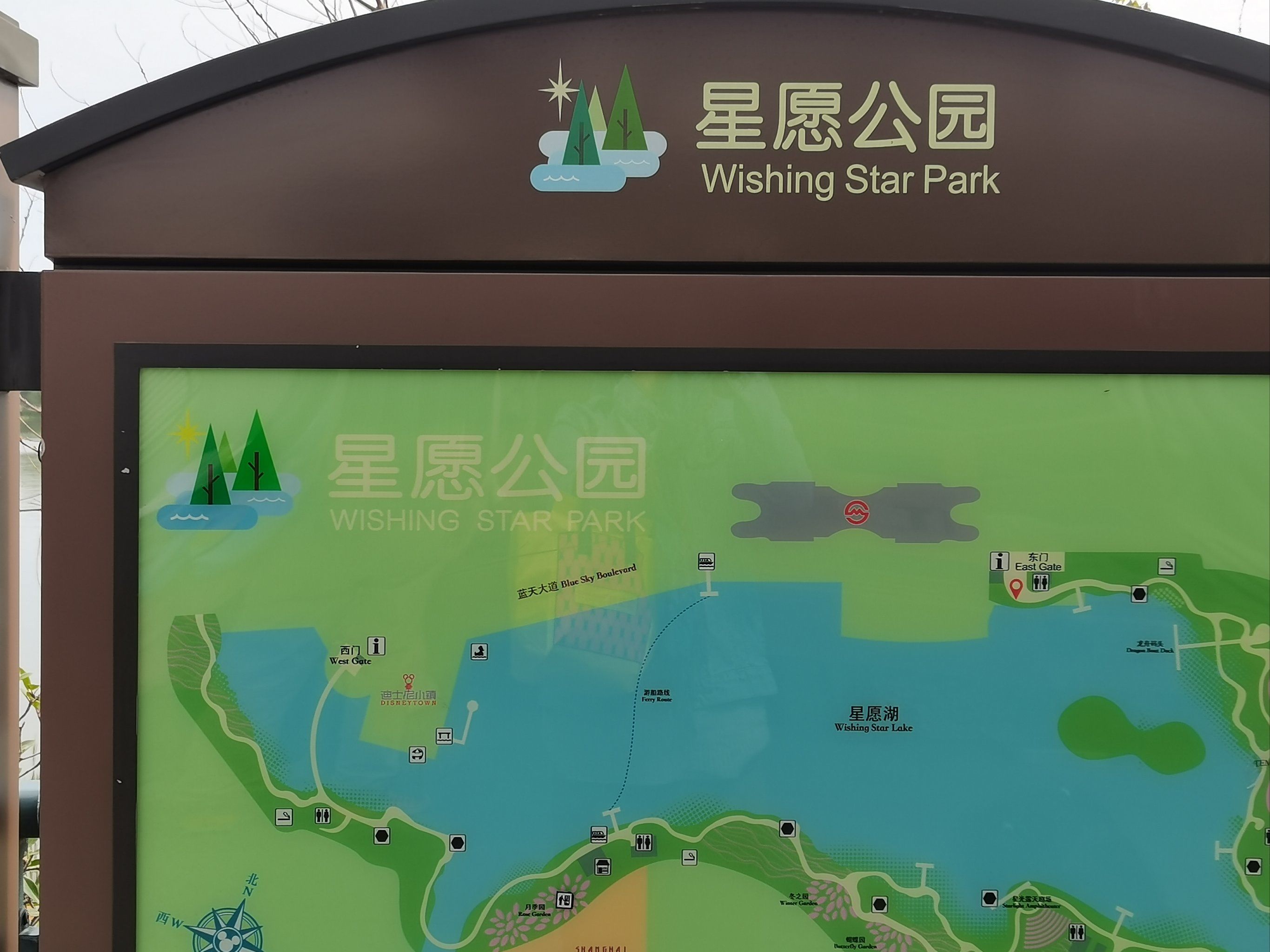 好看的花一定要分享给你 迪士尼小镇旁边的星愿公园