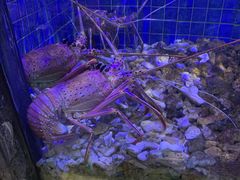 -珍宝轩海鲜火锅(碧湖大厦店)