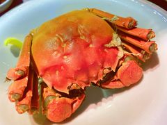 醉蟹-蟹榭·本帮江浙菜·蟹宴(五角场合生汇商场店)