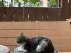 -弗兰克牛排西餐厅Ribone steak house(柠檬花园店)