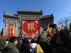 -大槐树寻根祭祖园