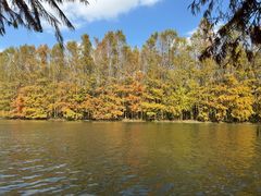 -上海海湾国家森林公园