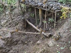 -野象谷景区