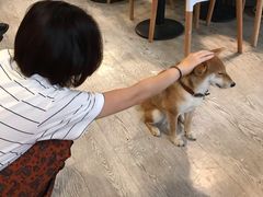 -小时光咖啡馆(北锣鼓巷店)