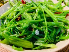-马帮菜馆·美味野生菌
