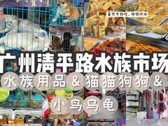 -清平路水族市场