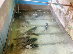 -姥家大锅台水库渔家